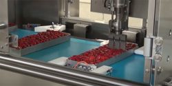 Lineairsystemen voor chemische, farmaceutische en bakkerij-industrie